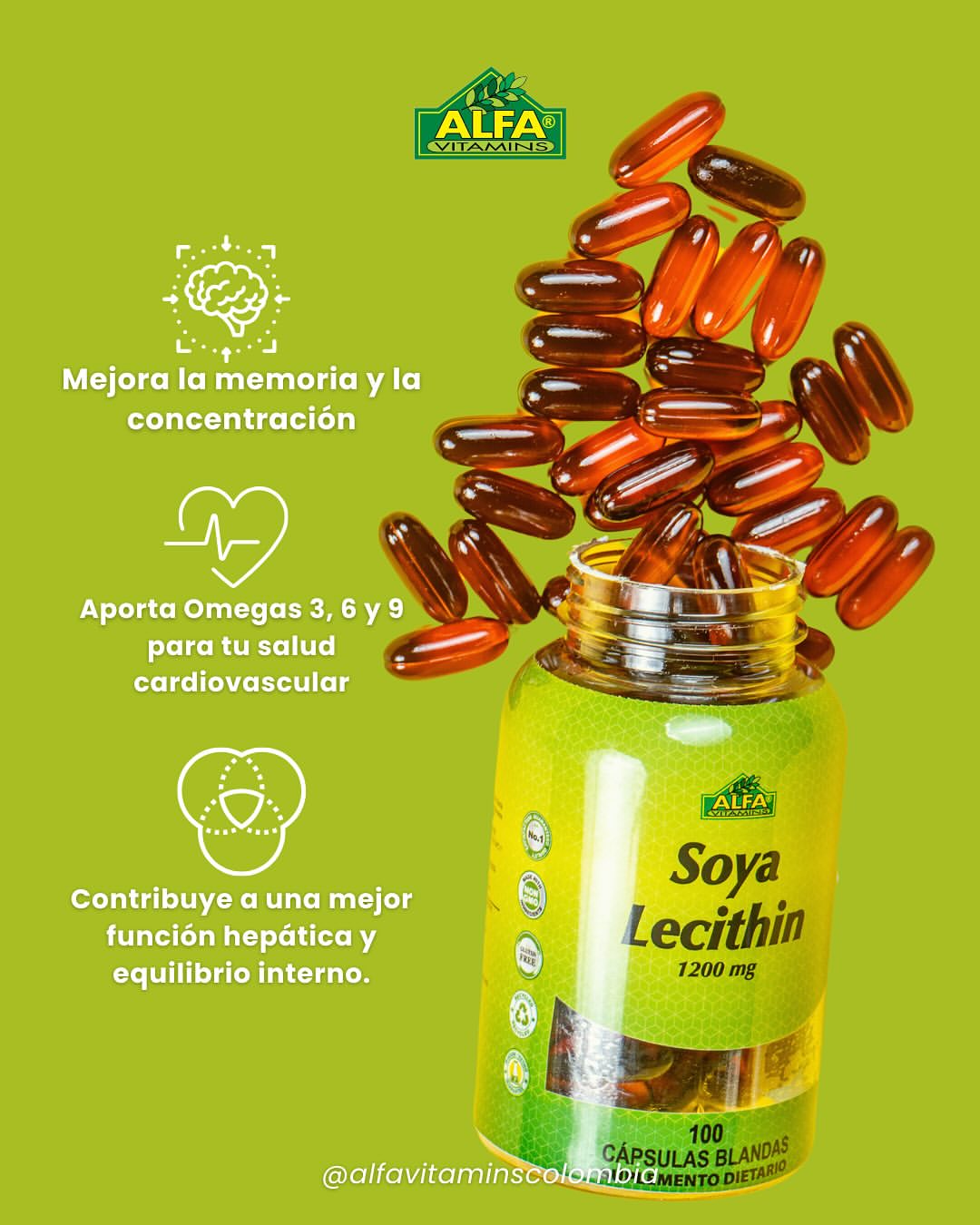 Soya Lecithin - 100 Capsulas