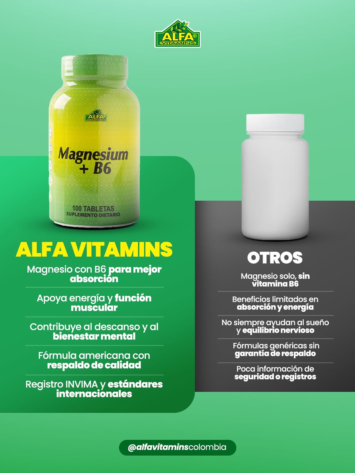 Magnesium + B6 - 100 Tabletas