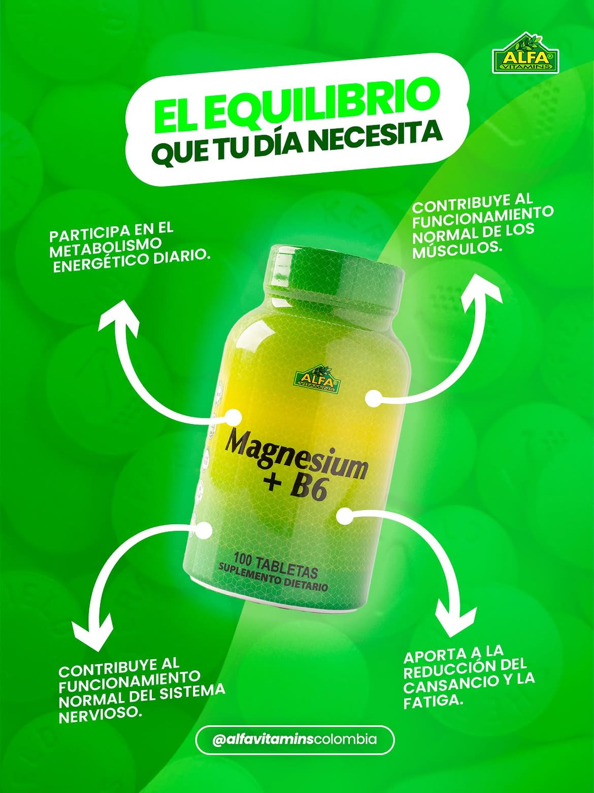 Magnesium + B6 - 100 Tabletas